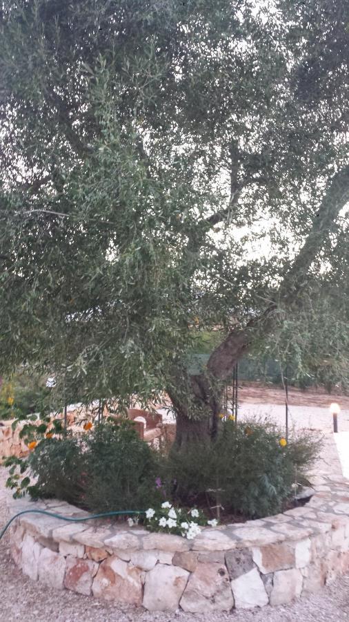 Caserurali Ceglie Messapica Luaran gambar
