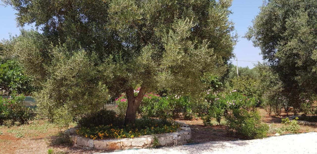 Caserurali Ceglie Messapica Luaran gambar