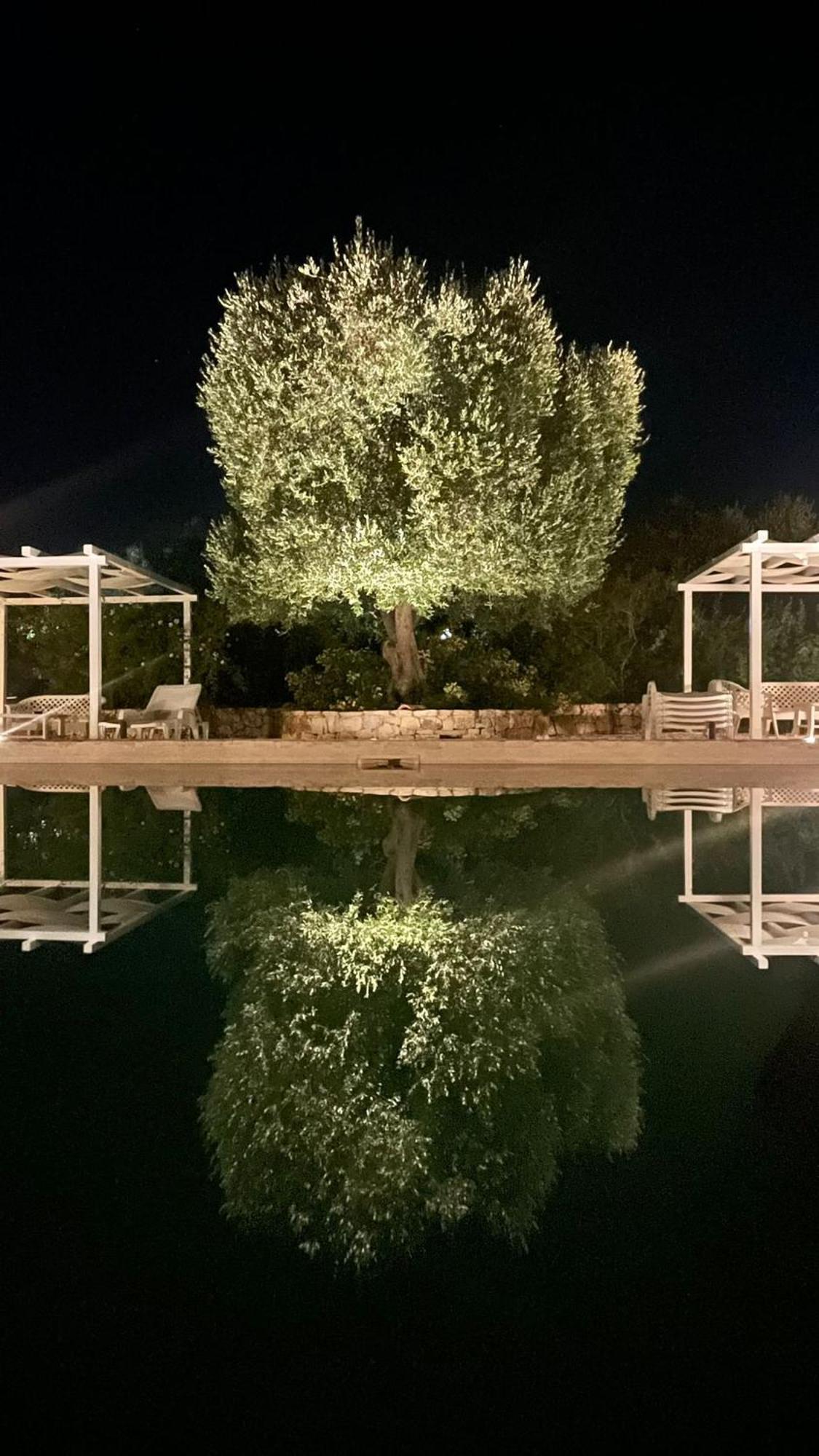 Caserurali Ceglie Messapica Luaran gambar